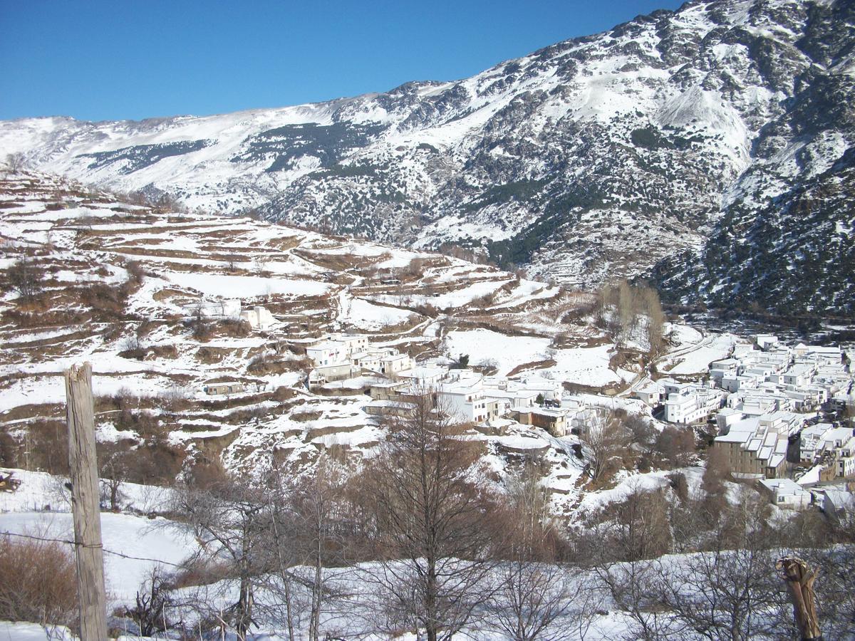 TrevélezRefugio Alpujarra Alta住宿加早餐旅馆 外观 照片