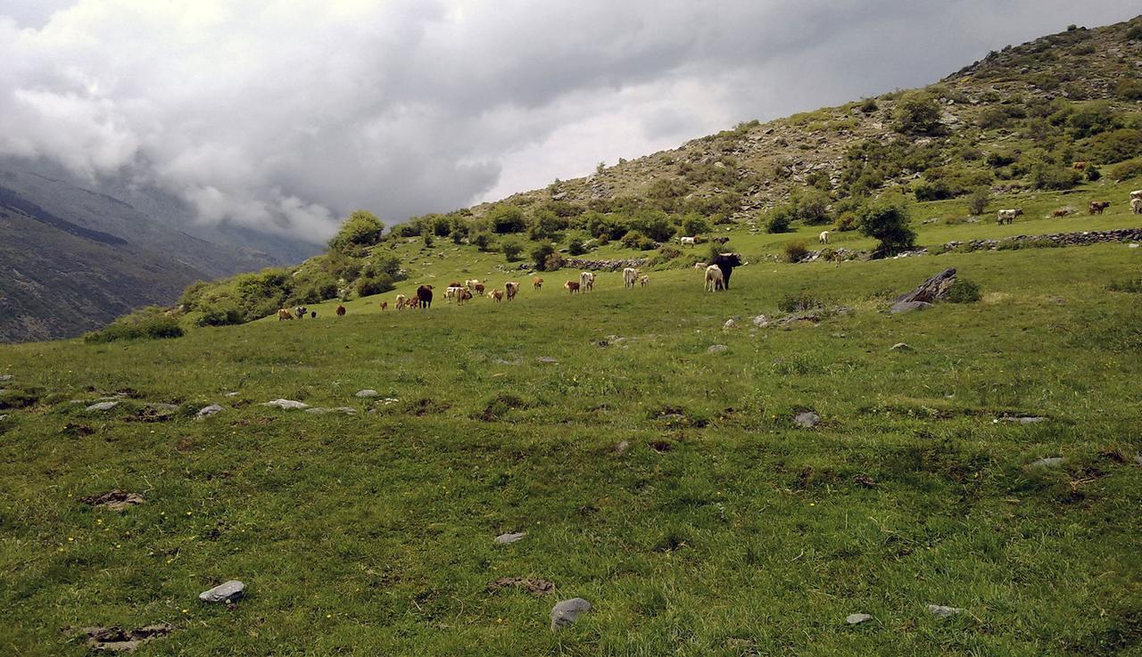 TrevélezRefugio Alpujarra Alta住宿加早餐旅馆 外观 照片
