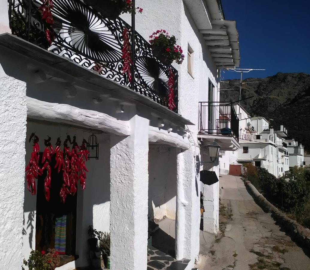 TrevélezRefugio Alpujarra Alta住宿加早餐旅馆 外观 照片