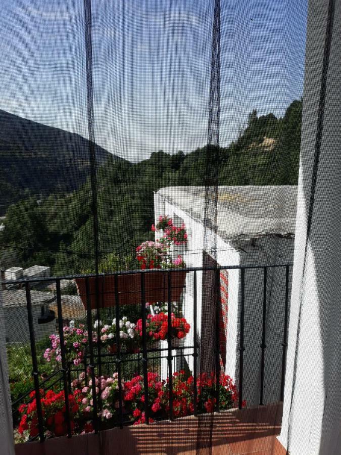 TrevélezRefugio Alpujarra Alta住宿加早餐旅馆 外观 照片